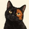 Profilbild von Patch