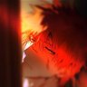 Фото профиля PhคภtomWēēb 🚩