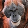 Profilbild von Lefika