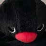 Paulina_PM's profile picture