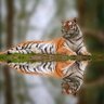 Фото профиля Seektruth