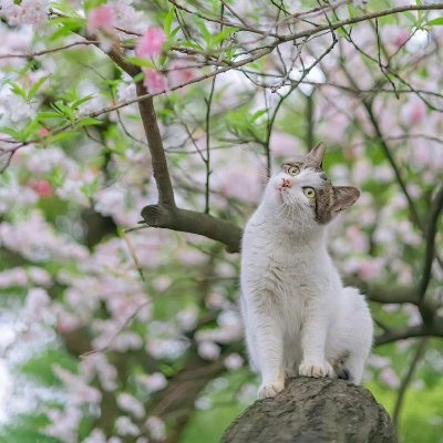dongjingre776's profile picture