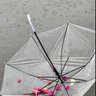 🌸 𝒲𝑒𝒶𝓉𝒽𝑒𝓇 𝓁𝑜𝓋𝒾𝓃𝑔 اليقـين🌸's profile picture