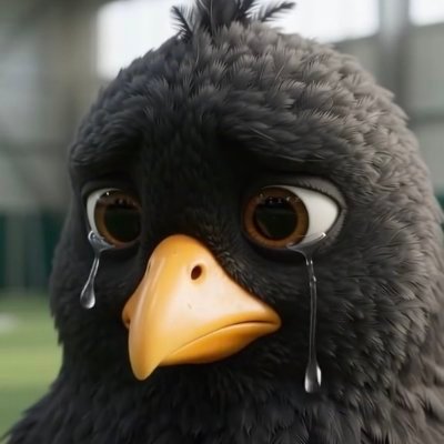 molten's profile picture