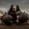 Фото профиля Keep Watching