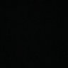 ecarlee🐥's profile picture