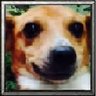 Profilbild von Jack Muromi