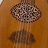 🎵 🎼 musician profil fotoğrafı