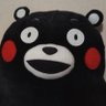 @kumachi329's profile picture