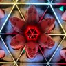 Bruce Millington's profile picture