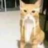 Kataomoi (´°̥̥̥̥̥̥̥̥ω°̥̥̥̥̥̥̥̥`) profil fotoğrafı