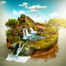 Nature World's profile picture