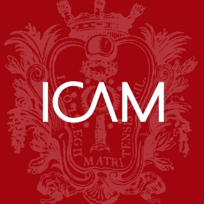 icam_es's profile picture