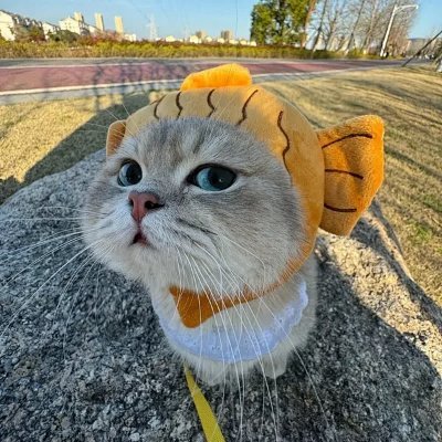 nzibdy's profile picture