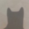 Profilbild von Chief