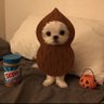 螺愚那六うり's profile picture
