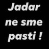 Mladi bik - Apis junior profil fotoğrafı
