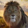 Mufasa Ali Khan's profile picture