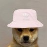 ៣♬⩎ɨ 的头像