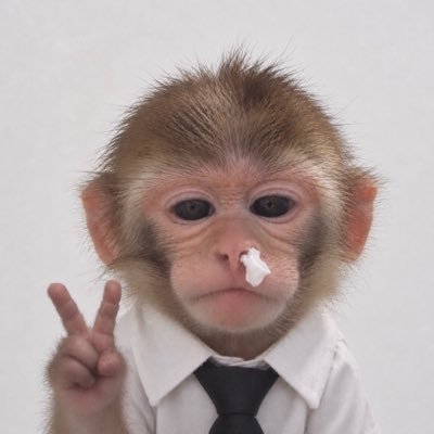 nothingxox_'s profile picture