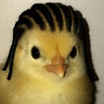 DJFlatass's profile picture