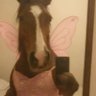 Pragati's profile picture