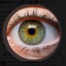 Profilbild von Gloria 🚩🩺🏥⚕️🚩⛑🧑🏼‍⚕️🩺