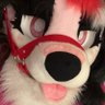 🔞Puppy Princess🔞 profil fotoğrafı