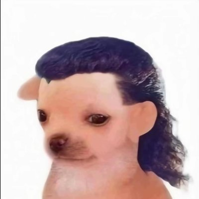 El_PIP0__'s profile picture
