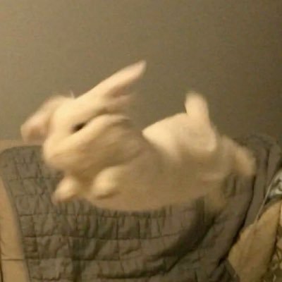 ju's profile picture