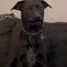 Profilbild von timo