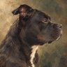 ๐ฃ's profile picture