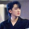 Фото профиля viu o SKZ 2x e VAI VER SKZ DE NOVO