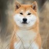 Фото профиля シバ太郎|低位株・短期反発戦略