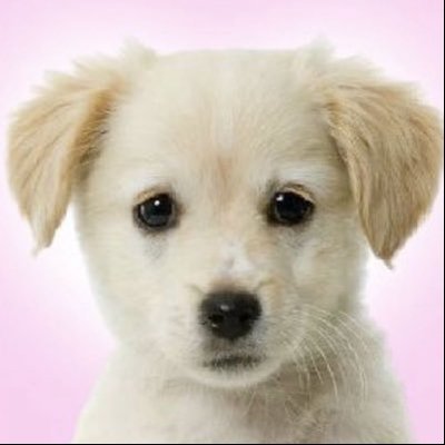 heecxan's profile picture