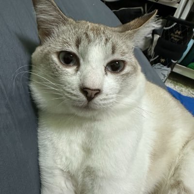baorwt01's profile picture