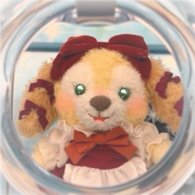 イタミスプリングス🐶🍪's profile picture