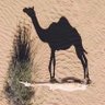 zx's profile picture