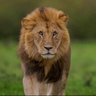 حبر أبيض's profile picture