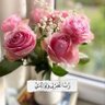 Profilbild von om ziad 💐