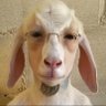 Bong-water's profile picture