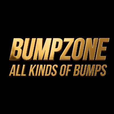 The BumpZone's profile picture