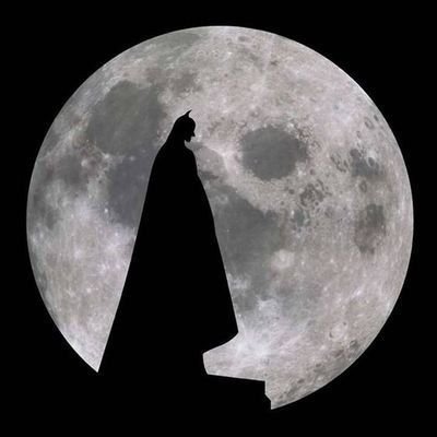 mastero_backup's profile picture