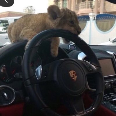ippppppqqqqqq1's profile picture
