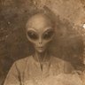 YonY's profile picture