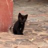 gardas profil fotoğrafı