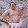 Profilbild von 朝青龍