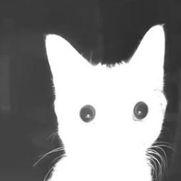 itsiSparki's profile picture