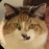 Profilbild von always…sometimes