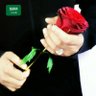 أبَّسَلْ profil fotoğrafı